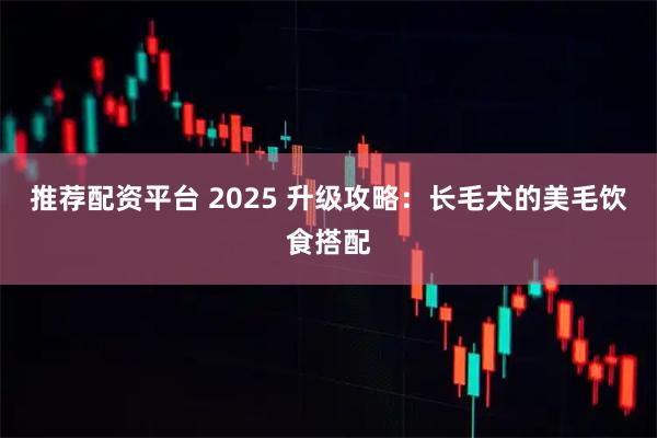 推荐配资平台 2025 升级攻略:长毛犬的美毛饮食搭配
