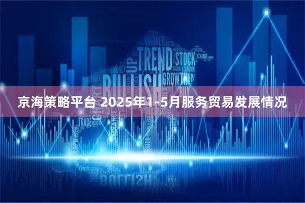 京海策略平台 2025年1-5月服务贸易发展情况