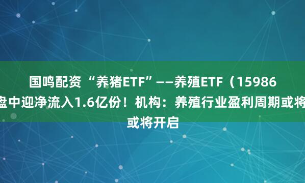 国鸣配资 “养猪ETF”——养殖ETF（159865）盘中迎净流入1.6亿份！机构：养殖行业盈利周期或将开启